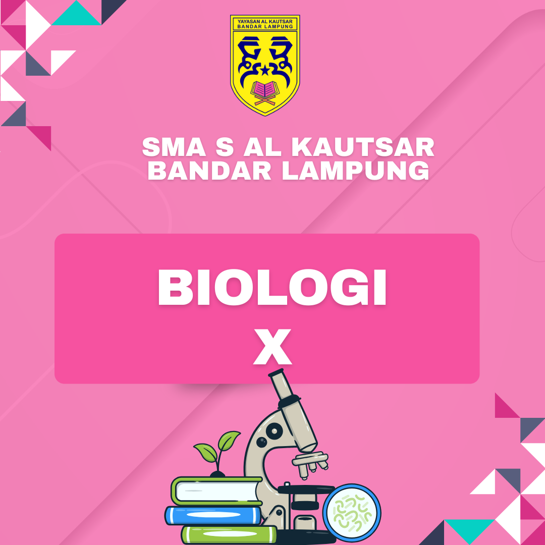 BIOLOGI X. 03