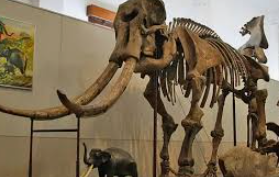 SUSULAN INFORMATIKA X 